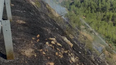 Mersin Silifke'de Orman Yangını Kontrol Altına Alındı