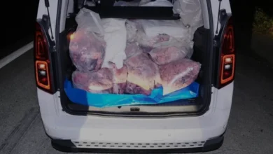 Mersin Tarsusta sağlıksız koşullarda taşınan sakatata el konuldu