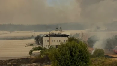 Muğla kaynaklı orman yangını Antalya sınırlarına ulaştı