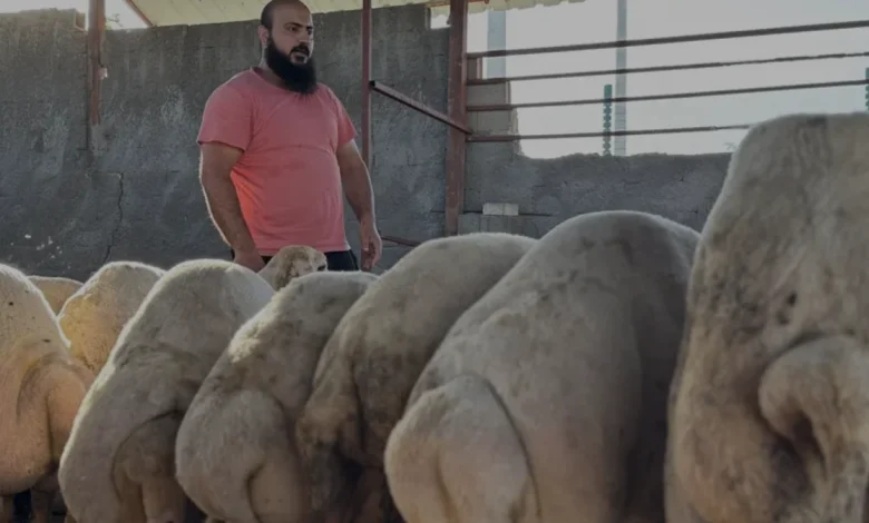 Osmaniye'de su basan ahırdan koyunlarını kurtaran besici o anları anlattı