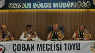 Osmaniye'de Yörük Kültürü ve Çobanlar İçin Özel Toy Düzenlendi