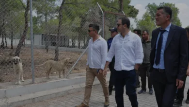 Silifke Kaymakamı Fırat Doğal Yaşam Alanında İncelemelerde Bulundu