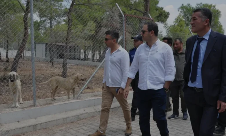 Silifke Kaymakamı Fırat Doğal Yaşam Alanında İncelemelerde Bulundu