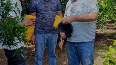 Sumbas İlçesinde Narenciye Üreticilerine 500 Adet Tuzak Desteği