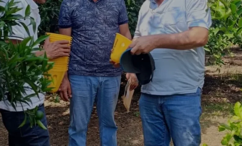 Sumbas İlçesinde Narenciye Üreticilerine 500 Adet Tuzak Desteği