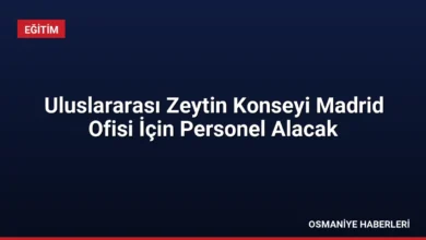 Uluslararası Zeytin Konseyi Madrid Ofisi İçin Personel Alacak