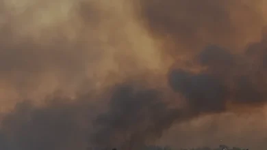 Adana Kozan Orman Yangını İçin Geniş Çaplı Müdahale
