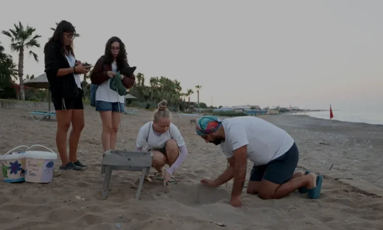 Antalya Kızılot Sahilinde 40 Bin Caretta Caretta Yavrusu Denize Ulaştı