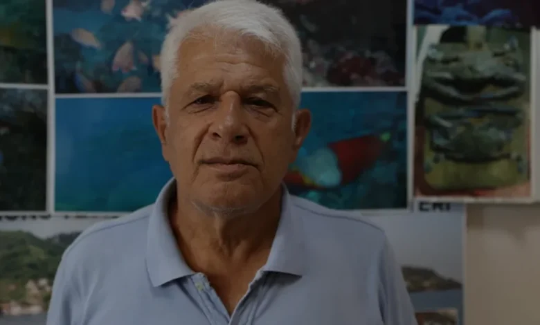 Antalya Kumluca Kıyılarında Nadir Görüntü Akdeniz Foku ve Yavrusu