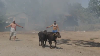 Antalya Muratpaşa'da Otluk Alanda Başlayan Yangın Söndürüldü