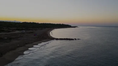 Antalya Sahillerinde 130 Bin Deniz Kaplumbağası Denize Ulaştı