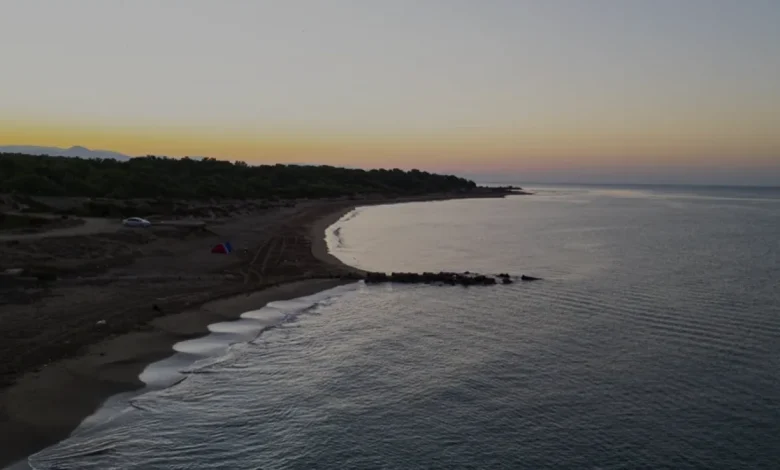 Antalya Sahillerinde 130 Bin Deniz Kaplumbağası Denize Ulaştı