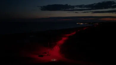 Antalya Sahillerinde Kırmızı LED Uygulaması Kaplumbağaları Korudu