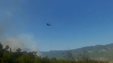 Antalya Serik ormanlık alanında yangın paniği