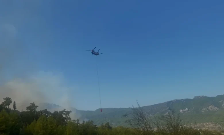 Antalya Serik ormanlık alanında yangın paniği