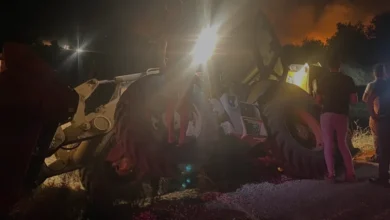 Antalya Serik'te Orman Yangını 5 Ev ve Seraları Kül Etti