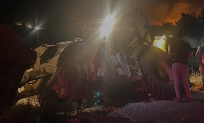 Antalya Serik'te Orman Yangını 5 Ev ve Seraları Kül Etti