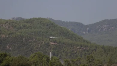 Antalya Serik'te Orman Yangını Kontrol Altında