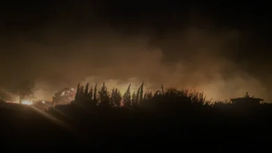 Antalya Serik'te Yangın Felaketi Beş Ev Kül Oldu