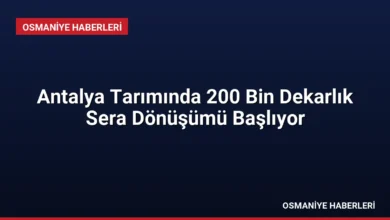 Antalya Tarımında 200 Bin Dekarlık Sera Dönüşümü Başlıyor