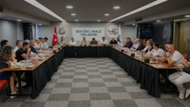 Antalya Zeytin Hasadında Yüksek Rekolte Beklentisi