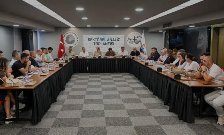 Antalya Zeytin Hasadında Yüksek Rekolte Beklentisi