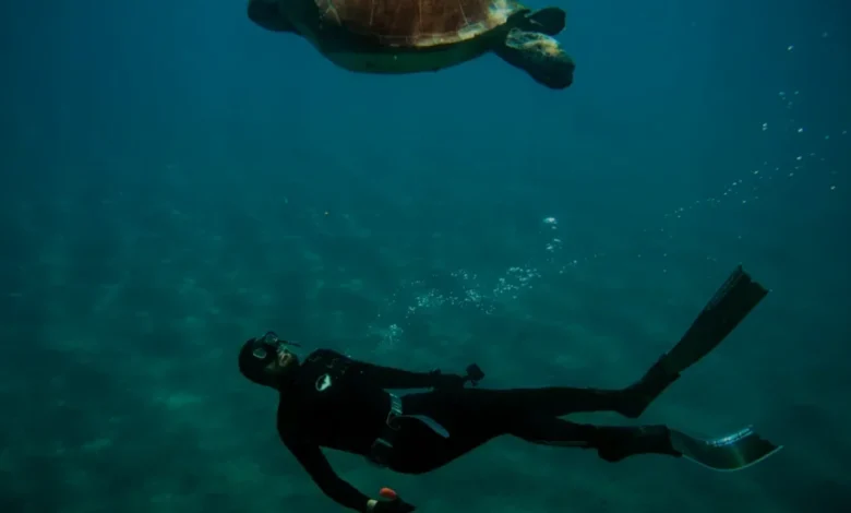 Antalya'da Serbest Dalıcı ile Deniz Kaplumbağası Mahmut'un Dostluğu