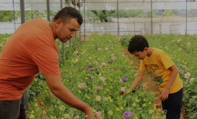 Antalyalı üretici Bulgaristan talebiyle başladığı lisianthus ihracatını Avrupa'ya taşıdı