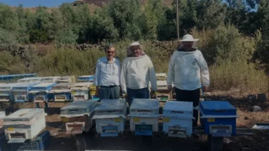 Arıcılık desteklerinde yüzde 80 artış üreticiye can suyu oldu