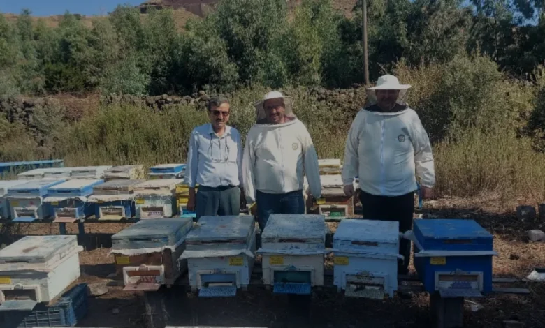 Arıcılık desteklerinde yüzde 80 artış üreticiye can suyu oldu