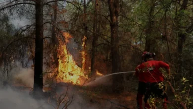 Deprem Gönüllüsü Gökşen Çifti Orman Yangınında Omuz Omuza