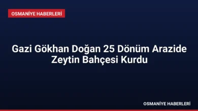 Gazi Gökhan Doğan 25 Dönüm Arazide Zeytin Bahçesi Kurdu