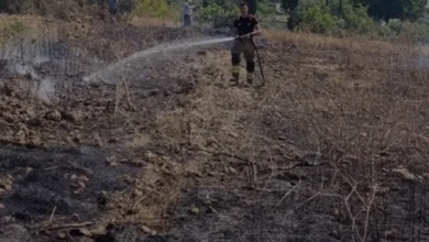 Hatay Erzin'de Otluk Alanda Yangın Çıktı