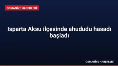Isparta Aksu ilçesinde ahududu hasadı başladı