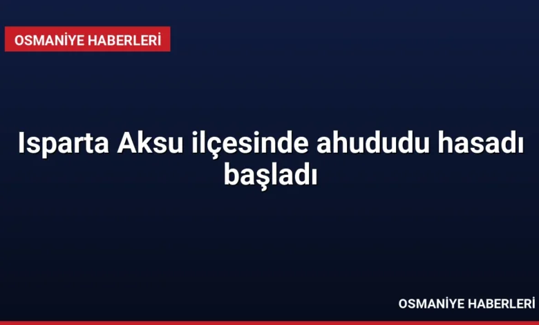 Isparta Aksu ilçesinde ahududu hasadı başladı