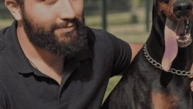 İstanbul Arnavutköyde Profesyonel Köpek Eğitimi ve Pet Oteli