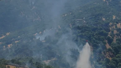 Kahramanmaraş Türkoğlu ilçesinde orman yangını kontrol altına alındı