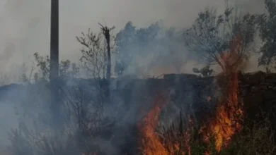 Manavgat'ta Zirai Alanda Yangın Paniği