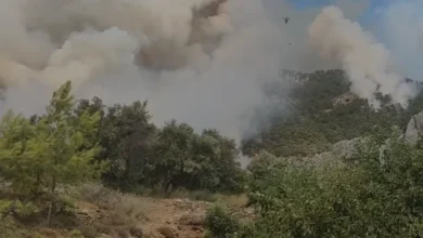Mersin Bozyazı Ormanlık Alanında Yangın Çıktı