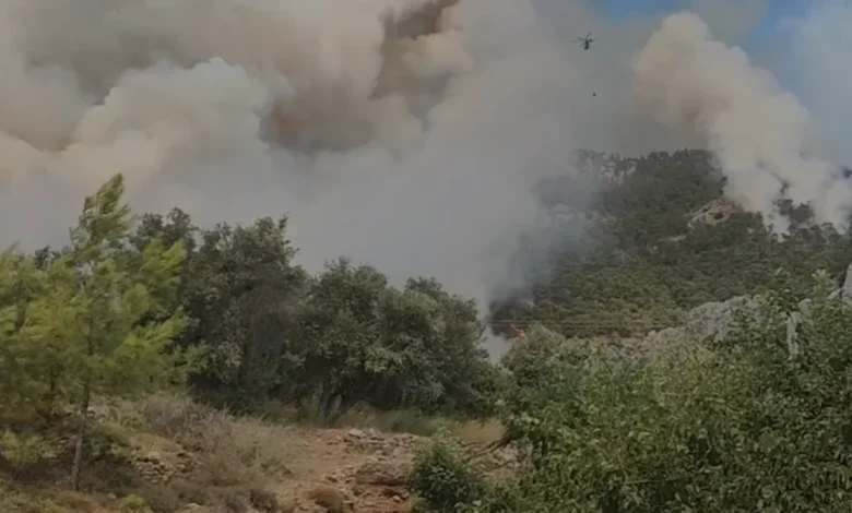 Mersin Bozyazı Ormanlık Alanında Yangın Çıktı