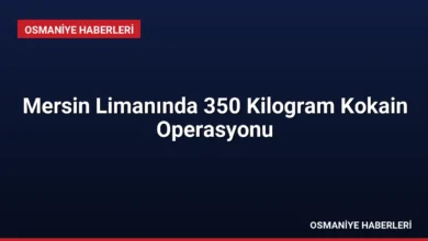 Mersin Limanında 350 Kilogram Kokain Operasyonu