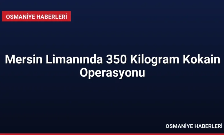 Mersin Limanında 350 Kilogram Kokain Operasyonu