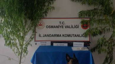 Osmaniye Jandarmasından Bir Haftalık Asayiş Operasyonu