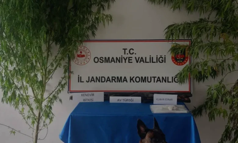 Osmaniye Jandarmasından Bir Haftalık Asayiş Operasyonu