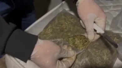 Osmaniye Zorkun Yaylasında Uyuşturucu Operasyonu