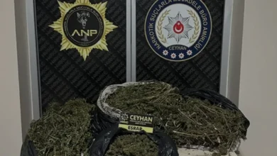 Adana Ceyhan'da düzenlenen uyuşturucu operasyonunda 2 kişi tutuklandı