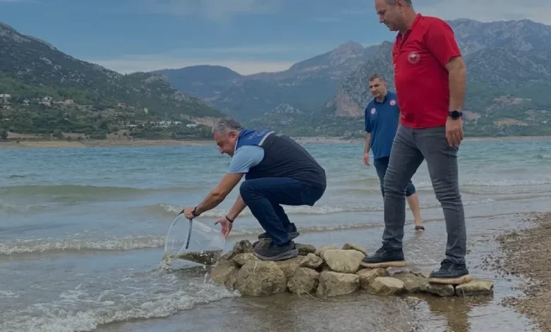Adana Kozan Su Kaynaklarına 665 Bin Sazan Yavrusu Bırakıldı