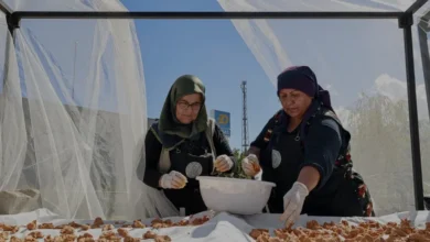 Antalya Büyükşehir Belediyesi Kadın Kooperatiflerini Destekliyor