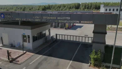 Antalya Büyükşehir Belediyesi Sokak Hayvanları Merkezinin Kapasitesi