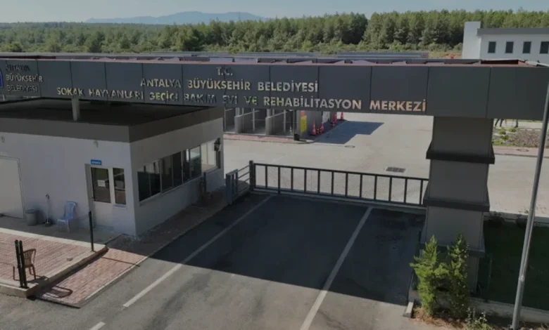 Antalya Büyükşehir Belediyesi Sokak Hayvanları Merkezinin Kapasitesi
